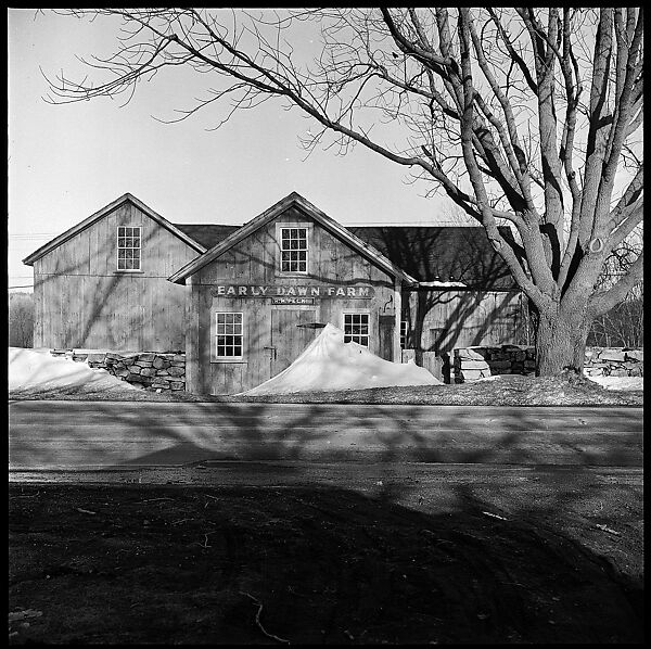 [23 Exterior Views of Farm Building and Portraits of Unidentified Woman], Walker Evans (American, St. Louis, Missouri 1903–1975 New Haven, Connecticut), Film negative