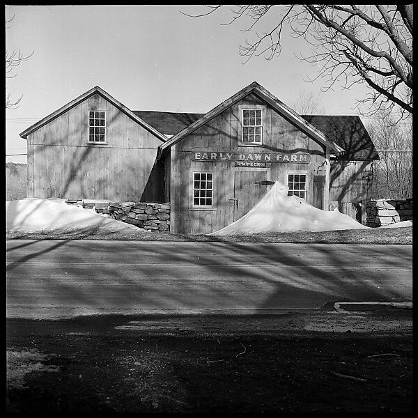 [23 Exterior Views of Farm Building and Portraits of Unidentified Woman], Walker Evans (American, St. Louis, Missouri 1903–1975 New Haven, Connecticut), Film negative