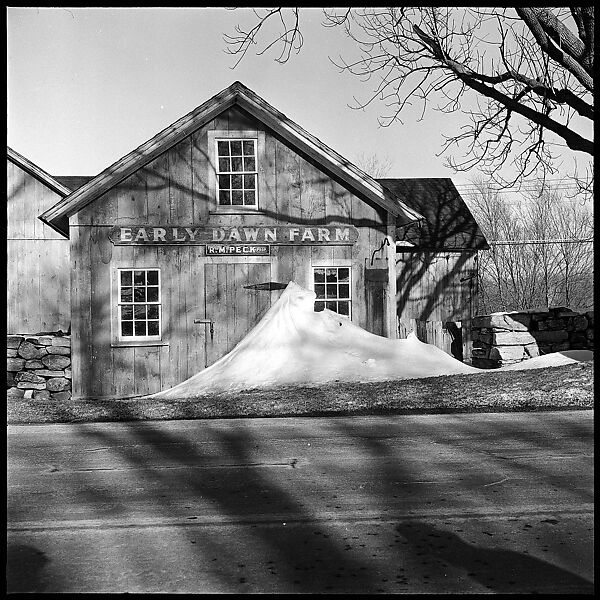 [23 Exterior Views of Farm Building and Portraits of Unidentified Woman], Walker Evans (American, St. Louis, Missouri 1903–1975 New Haven, Connecticut), Film negative