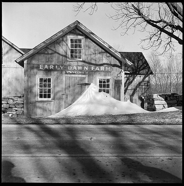 [23 Exterior Views of Farm Building and Portraits of Unidentified Woman], Walker Evans (American, St. Louis, Missouri 1903–1975 New Haven, Connecticut), Film negative