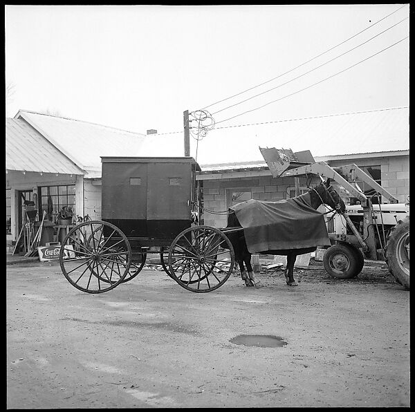 [30 Views of Roadside Architecture, Signs, Mennonite Horse and Carriage, Allensville, Kentucky (and Vicinity)], Walker Evans (American, St. Louis, Missouri 1903–1975 New Haven, Connecticut), Film negative