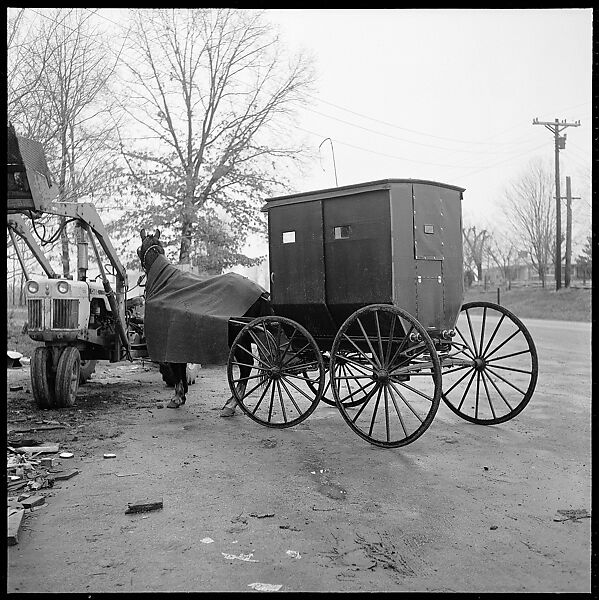 [30 Views of Roadside Architecture, Signs, Mennonite Horse and Carriage, Allensville, Kentucky (and Vicinity)], Walker Evans (American, St. Louis, Missouri 1903–1975 New Haven, Connecticut), Film negative