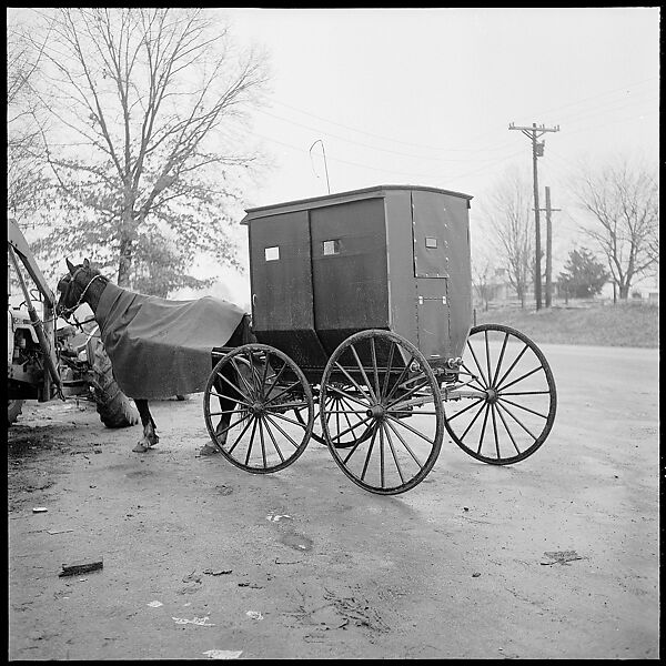 [30 Views of Roadside Architecture, Signs, Mennonite Horse and Carriage, Allensville, Kentucky (and Vicinity)], Walker Evans (American, St. Louis, Missouri 1903–1975 New Haven, Connecticut), Film negative
