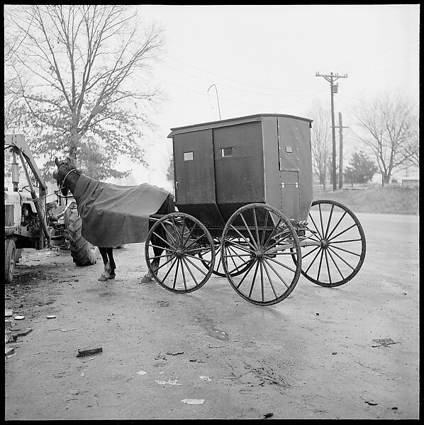 [30 Views of Roadside Architecture, Signs, Mennonite Horse and Carriage, Allensville, Kentucky (and Vicinity)], Walker Evans (American, St. Louis, Missouri 1903–1975 New Haven, Connecticut), Film negative