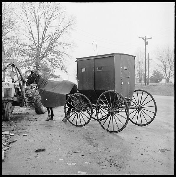 [30 Views of Roadside Architecture, Signs, Mennonite Horse and Carriage, Allensville, Kentucky (and Vicinity)], Walker Evans (American, St. Louis, Missouri 1903–1975 New Haven, Connecticut), Film negative