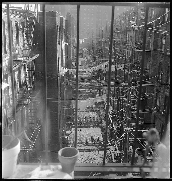[18 Views of Cat and Fire Escapes, New York City], Walker Evans (American, St. Louis, Missouri 1903–1975 New Haven, Connecticut), Film negative