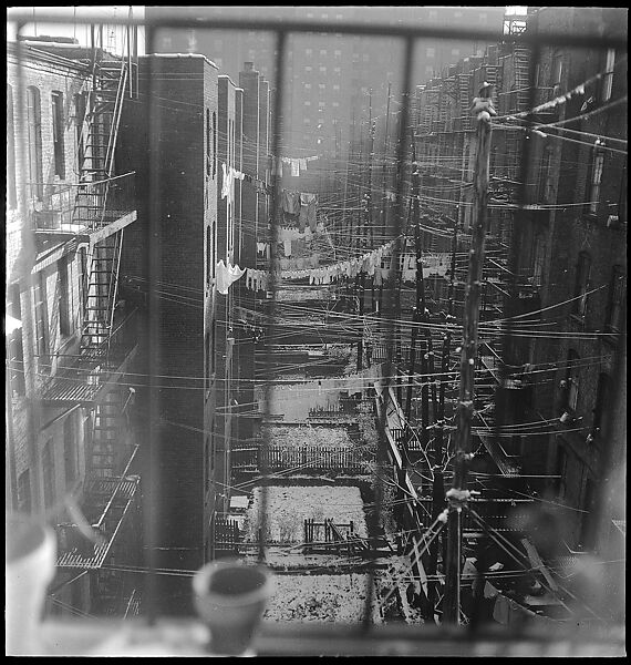 [18 Views of Cat and Fire Escapes, New York City], Walker Evans (American, St. Louis, Missouri 1903–1975 New Haven, Connecticut), Film negative