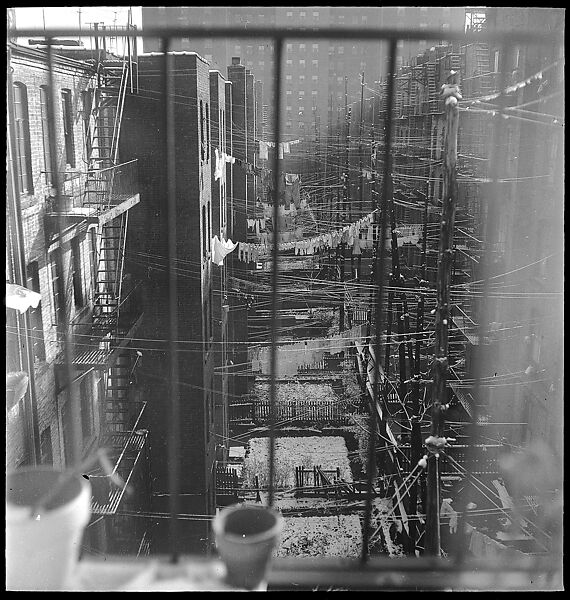 [18 Views of Cat and Fire Escapes, New York City], Walker Evans (American, St. Louis, Missouri 1903–1975 New Haven, Connecticut), Film negative