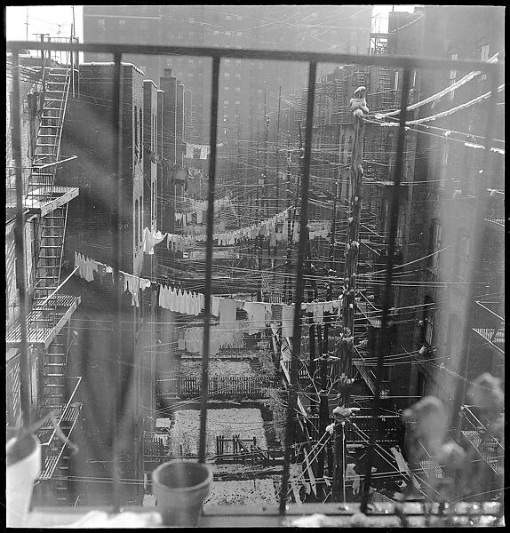 [18 Views of Cat and Fire Escapes, New York City], Walker Evans (American, St. Louis, Missouri 1903–1975 New Haven, Connecticut), Film negative