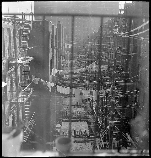 [18 Views of Cat and Fire Escapes, New York City], Walker Evans (American, St. Louis, Missouri 1903–1975 New Haven, Connecticut), Film negative