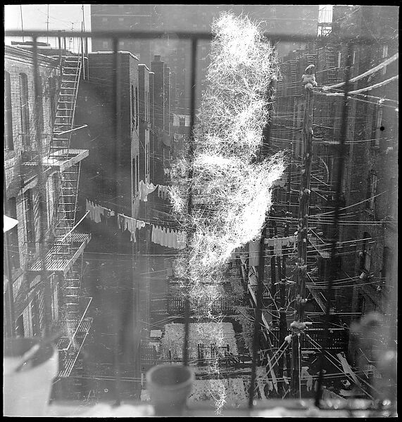 [18 Views of Cat and Fire Escapes, New York City], Walker Evans (American, St. Louis, Missouri 1903–1975 New Haven, Connecticut), Film negative