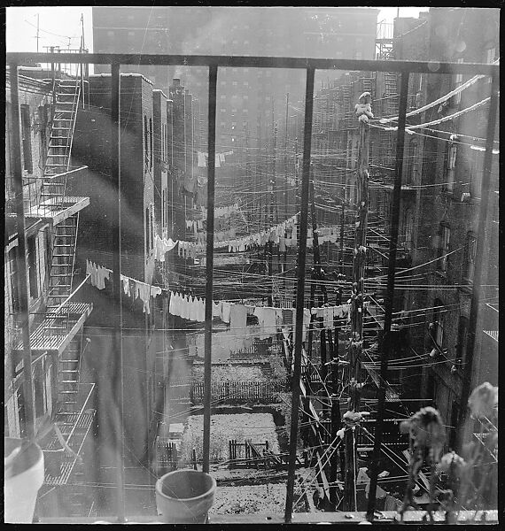 [18 Views of Cat and Fire Escapes, New York City], Walker Evans (American, St. Louis, Missouri 1903–1975 New Haven, Connecticut), Film negative