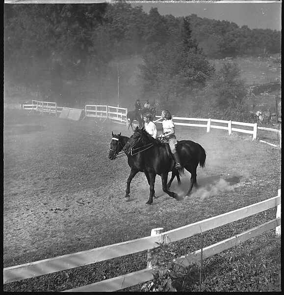 [30 Views of Horse Show], Walker Evans (American, St. Louis, Missouri 1903–1975 New Haven, Connecticut), Film negative