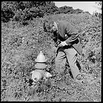 [4 Portraits of Walker Evans Photographing Fire Hydrant and Trash Can], Unknown (American), Film negative