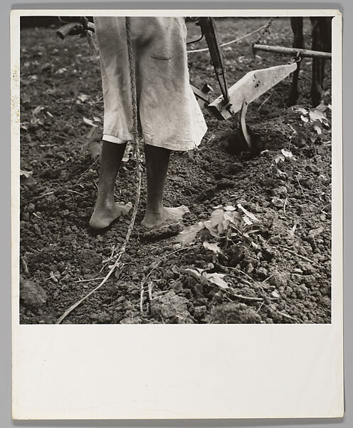 Alabama Plow Girl, near Eutaw, Alabama, Dorothea Lange (American, 1895–1965), Gelatin silver print 
