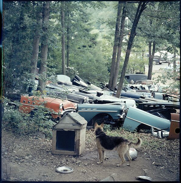 [192 Views of Junked Cars for Fortune Article "The Auto Junkyard"], Walker Evans (American, St. Louis, Missouri 1903–1975 New Haven, Connecticut), Color film transparency