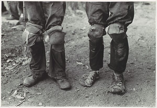 [Cotton Pickers with Knee Pads, Lehi, Arkansas], Russell Lee (American, 1903–1986), Gelatin silver print 