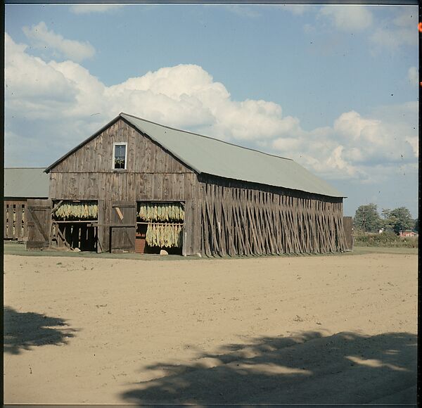 [553 Views of Houses for Time-Life Project "Americana"], Walker Evans (American, St. Louis, Missouri 1903–1975 New Haven, Connecticut), Color film transparency