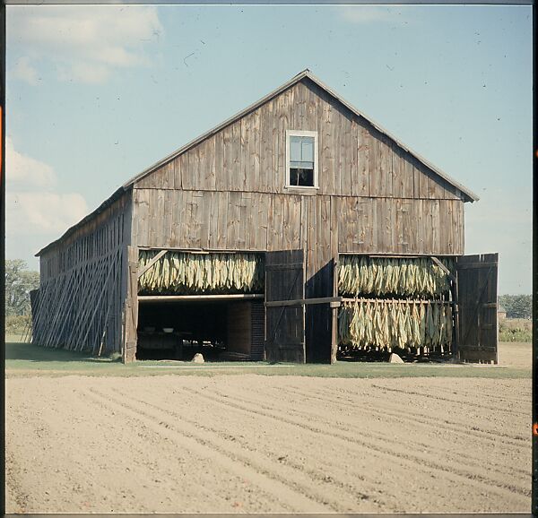 [553 Views of Houses for Time-Life Project "Americana"], Walker Evans (American, St. Louis, Missouri 1903–1975 New Haven, Connecticut), Color film transparency