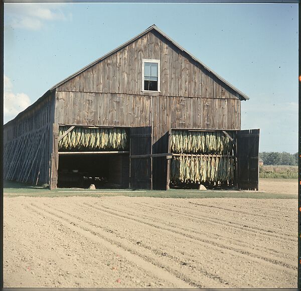 [553 Views of Houses for Time-Life Project "Americana"], Walker Evans (American, St. Louis, Missouri 1903–1975 New Haven, Connecticut), Color film transparency