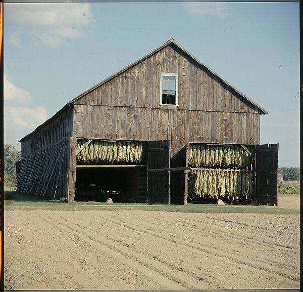 [553 Views of Houses for Time-Life Project "Americana"], Walker Evans (American, St. Louis, Missouri 1903–1975 New Haven, Connecticut), Color film transparency