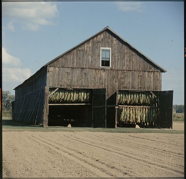 [553 Views of Houses for Time-Life Project "Americana"], Walker Evans (American, St. Louis, Missouri 1903–1975 New Haven, Connecticut), Color film transparency