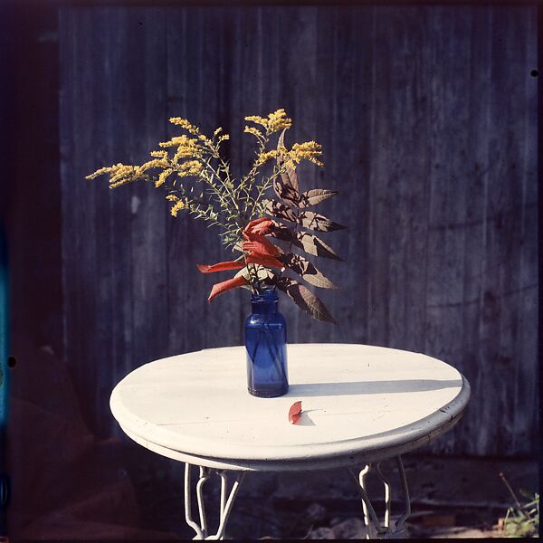 [214 Miscellaneous Personal Photographs: Views of Walker Evans's House and Studio, Old Lyme, Connecticut, Portraits of Evans, and Views of Evans's Paintings], Walker Evans (American, St. Louis, Missouri 1903–1975 New Haven, Connecticut), Color film transparency