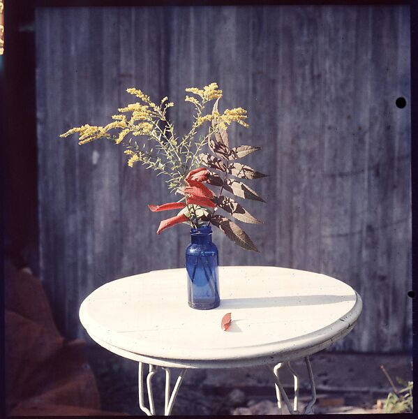 [214 Miscellaneous Personal Photographs: Views of Walker Evans's House and Studio, Old Lyme, Connecticut, Portraits of Evans, and Views of Evans's Paintings], Walker Evans (American, St. Louis, Missouri 1903–1975 New Haven, Connecticut), Color film transparency