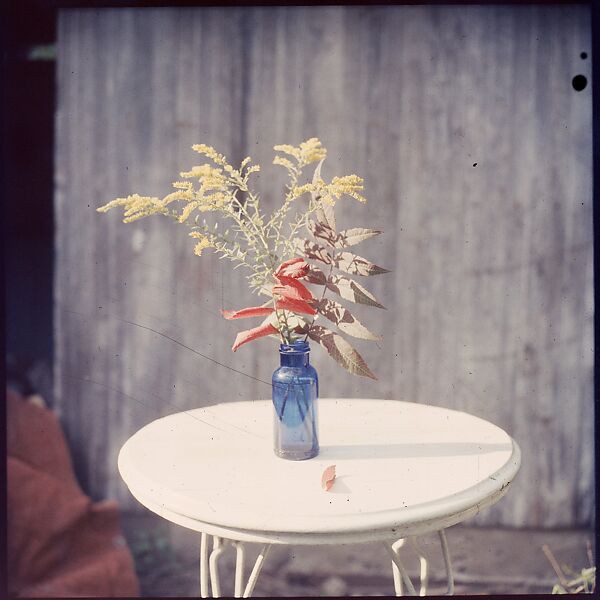 [214 Miscellaneous Personal Photographs: Views of Walker Evans's House and Studio, Old Lyme, Connecticut, Portraits of Evans, and Views of Evans's Paintings], Walker Evans (American, St. Louis, Missouri 1903–1975 New Haven, Connecticut), Color film transparency