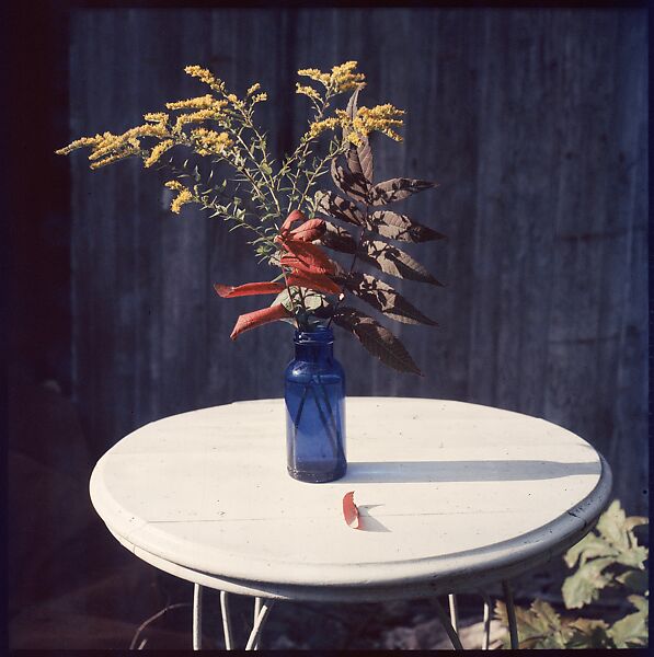 [214 Miscellaneous Personal Photographs: Views of Walker Evans's House and Studio, Old Lyme, Connecticut, Portraits of Evans, and Views of Evans's Paintings], Walker Evans (American, St. Louis, Missouri 1903–1975 New Haven, Connecticut), Color film transparency