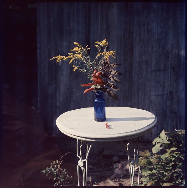 [214 Miscellaneous Personal Photographs: Views of Walker Evans's House and Studio, Old Lyme, Connecticut, Portraits of Evans, and Views of Evans's Paintings], Walker Evans (American, St. Louis, Missouri 1903–1975 New Haven, Connecticut), Color film transparency