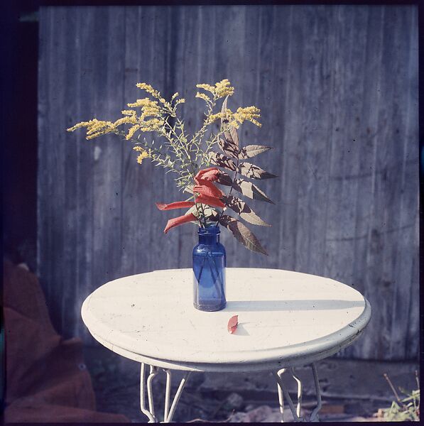 [214 Miscellaneous Personal Photographs: Views of Walker Evans's House and Studio, Old Lyme, Connecticut, Portraits of Evans, and Views of Evans's Paintings], Walker Evans (American, St. Louis, Missouri 1903–1975 New Haven, Connecticut), Color film transparency