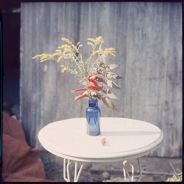 [214 Miscellaneous Personal Photographs: Views of Walker Evans's House and Studio, Old Lyme, Connecticut, Portraits of Evans, and Views of Evans's Paintings], Walker Evans (American, St. Louis, Missouri 1903–1975 New Haven, Connecticut), Color film transparency