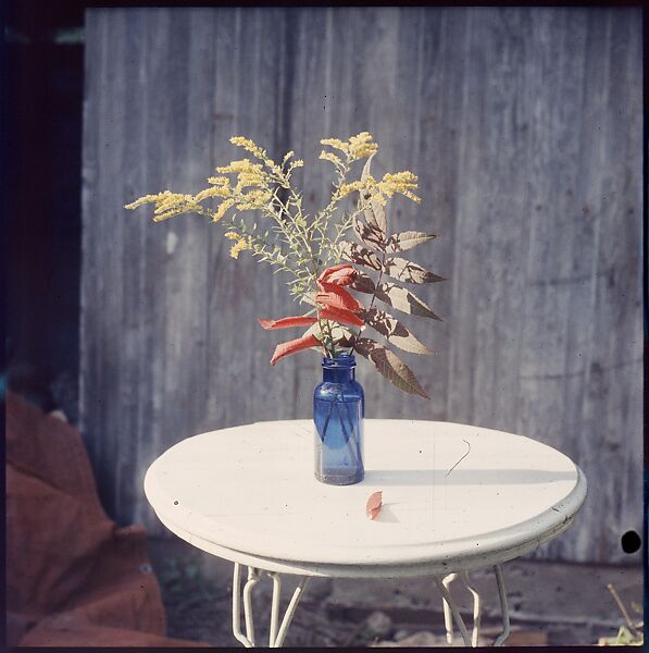 [214 Miscellaneous Personal Photographs: Views of Walker Evans's House and Studio, Old Lyme, Connecticut, Portraits of Evans, and Views of Evans's Paintings], Walker Evans (American, St. Louis, Missouri 1903–1975 New Haven, Connecticut), Color film transparency