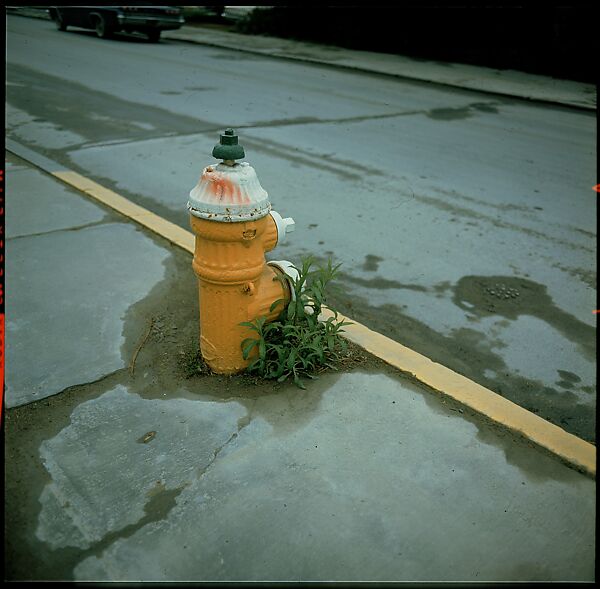 [235 Miscellaneous Views: Street Furniture, Signs, and Architectural Details], Walker Evans (American, St. Louis, Missouri 1903–1975 New Haven, Connecticut), Color film transparency and negative