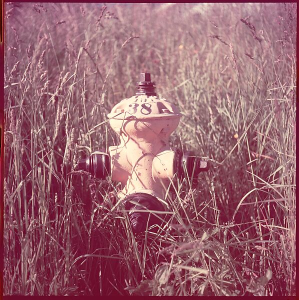 [235 Miscellaneous Views: Street Furniture, Signs, and Architectural Details], Walker Evans (American, St. Louis, Missouri 1903–1975 New Haven, Connecticut), Color film transparency and negative