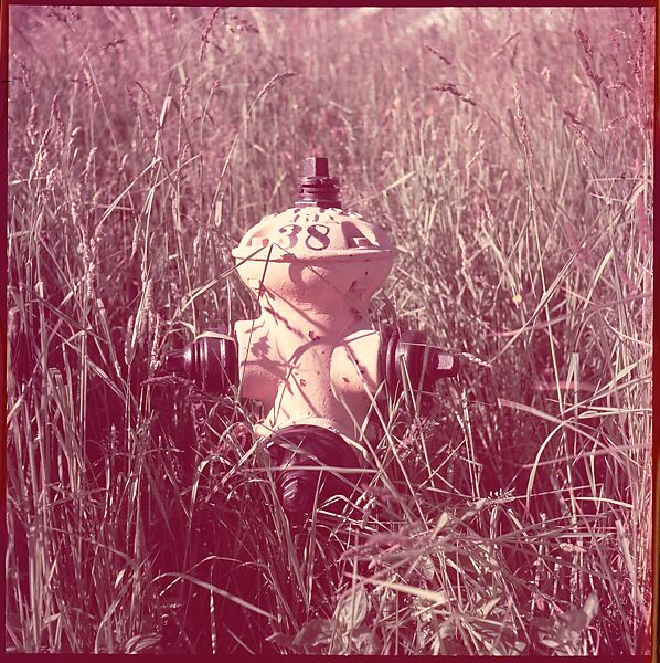 [235 Miscellaneous Views: Street Furniture, Signs, and Architectural Details], Walker Evans (American, St. Louis, Missouri 1903–1975 New Haven, Connecticut), Color film transparency and negative
