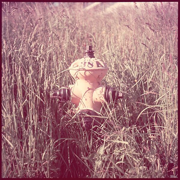 [235 Miscellaneous Views: Street Furniture, Signs, and Architectural Details], Walker Evans (American, St. Louis, Missouri 1903–1975 New Haven, Connecticut), Color film transparency and negative