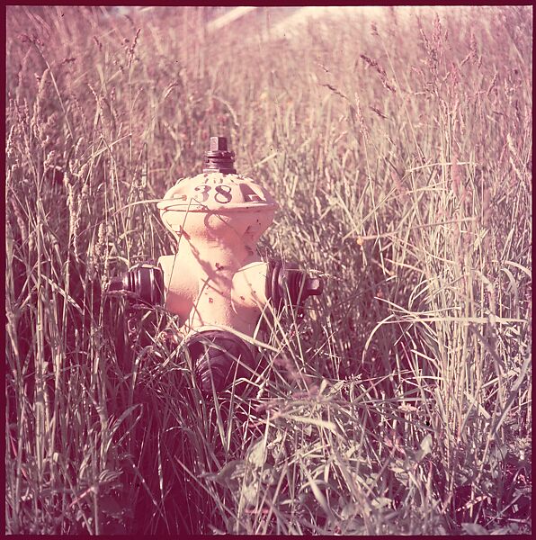 [235 Miscellaneous Views: Street Furniture, Signs, and Architectural Details], Walker Evans (American, St. Louis, Missouri 1903–1975 New Haven, Connecticut), Color film transparency and negative