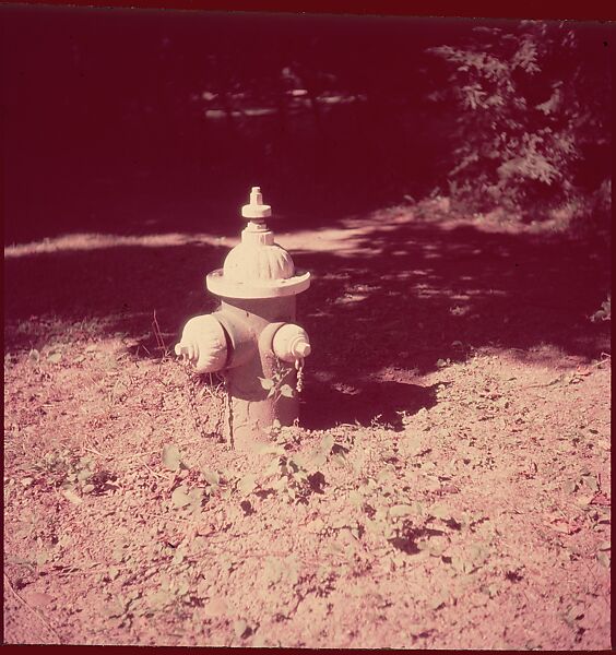 [235 Miscellaneous Views: Street Furniture, Signs, and Architectural Details], Walker Evans (American, St. Louis, Missouri 1903–1975 New Haven, Connecticut), Color film transparency and negative