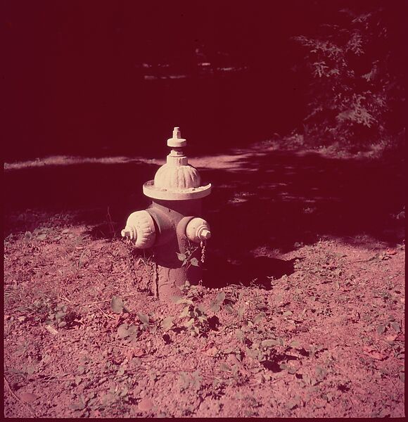 [235 Miscellaneous Views: Street Furniture, Signs, and Architectural Details], Walker Evans (American, St. Louis, Missouri 1903–1975 New Haven, Connecticut), Color film transparency and negative