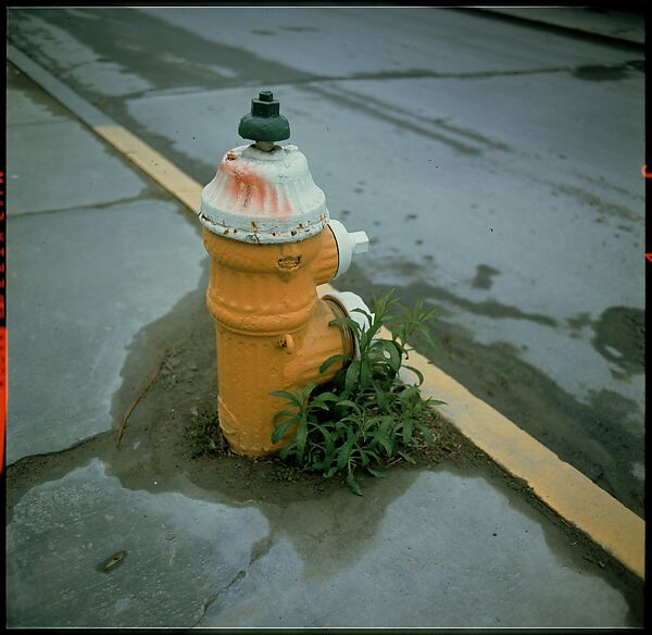 [235 Miscellaneous Views: Street Furniture, Signs, and Architectural Details], Walker Evans (American, St. Louis, Missouri 1903–1975 New Haven, Connecticut), Color film transparency and negative