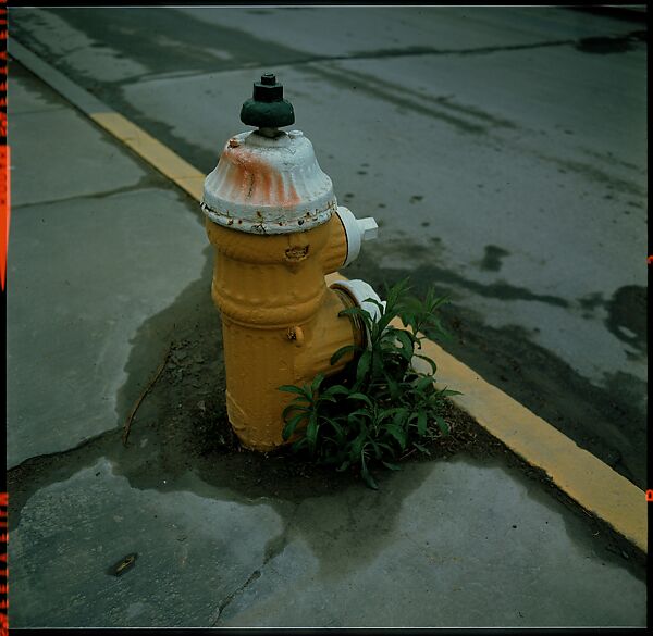 [235 Miscellaneous Views: Street Furniture, Signs, and Architectural Details], Walker Evans (American, St. Louis, Missouri 1903–1975 New Haven, Connecticut), Color film transparency and negative