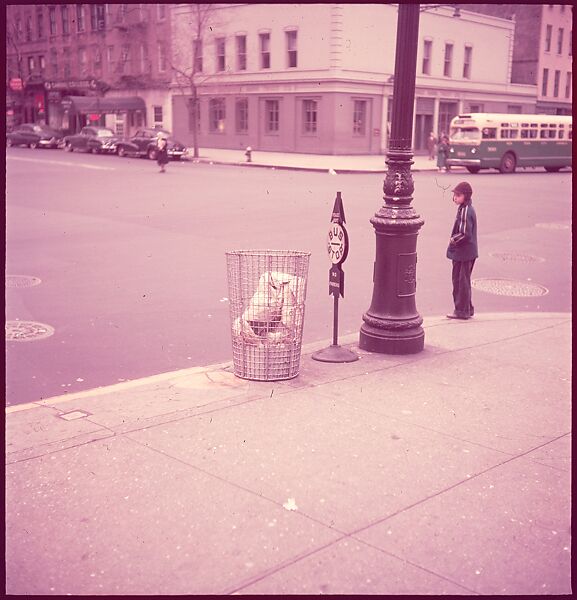 [235 Miscellaneous Views: Street Furniture, Signs, and Architectural Details], Walker Evans (American, St. Louis, Missouri 1903–1975 New Haven, Connecticut), Color film transparency and negative
