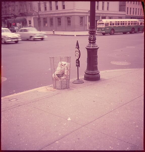 [235 Miscellaneous Views: Street Furniture, Signs, and Architectural Details], Walker Evans (American, St. Louis, Missouri 1903–1975 New Haven, Connecticut), Color film transparency and negative