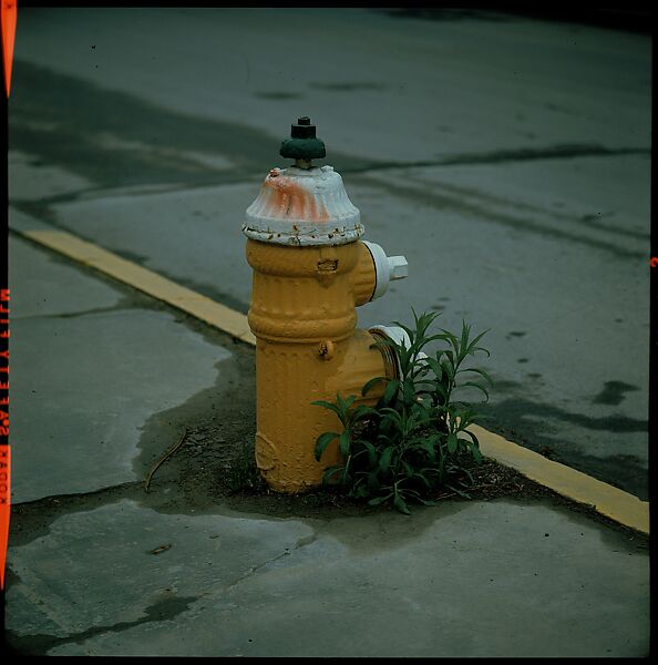 [235 Miscellaneous Views: Street Furniture, Signs, and Architectural Details], Walker Evans (American, St. Louis, Missouri 1903–1975 New Haven, Connecticut), Color film transparency and negative