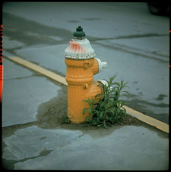 [235 Miscellaneous Views: Street Furniture, Signs, and Architectural Details], Walker Evans (American, St. Louis, Missouri 1903–1975 New Haven, Connecticut), Color film transparency and negative