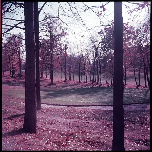[Four Views of a Golf Course, for Fortune Article "October's Game"], Walker Evans (American, St. Louis, Missouri 1903–1975 New Haven, Connecticut), Color film transparency