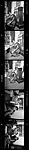 [14 Portraits of Walker Evans and Jane Evans at Home, New York City], Unknown (American), Film negative