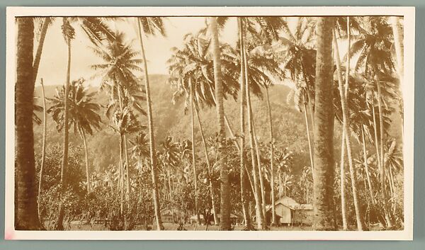 [88 Snapshots of South Seas Trip: Cressida Details, Portraits, Landscapes], Walker Evans (American, St. Louis, Missouri 1903–1975 New Haven, Connecticut), Gelatin silver print